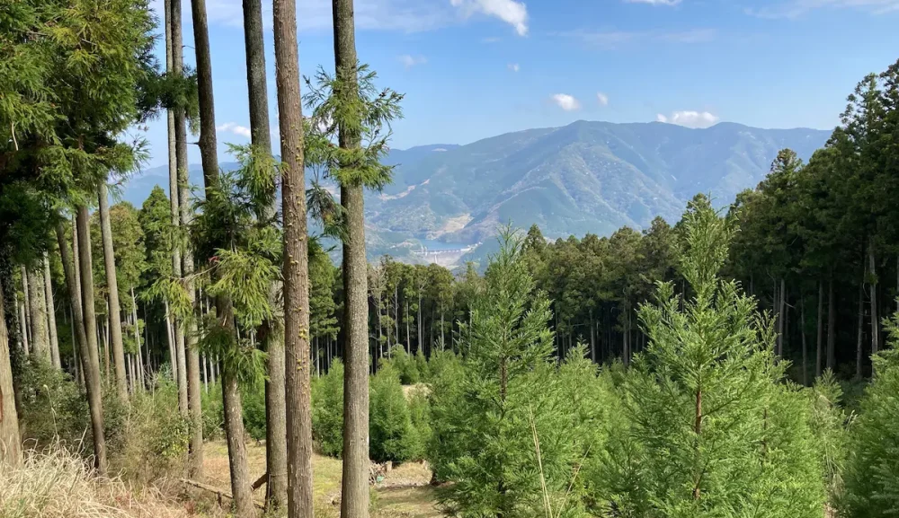 「耳障りのいい言葉」は言いません。須恵町・宇美町・飯塚市の不動産売却・空き家管理への覚悟