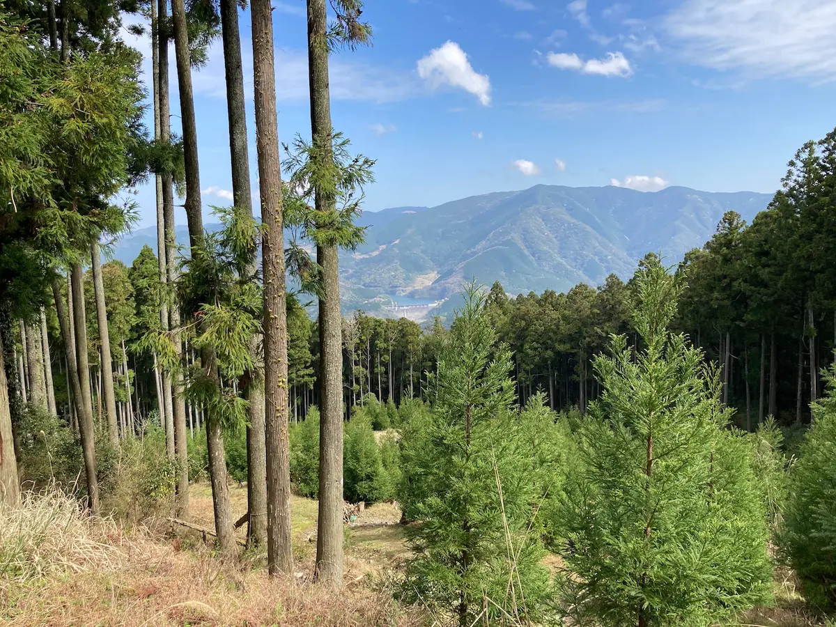 福岡県須恵町の風景と、空き家管理・売却をサポートするつなぐ不動産のイメージ